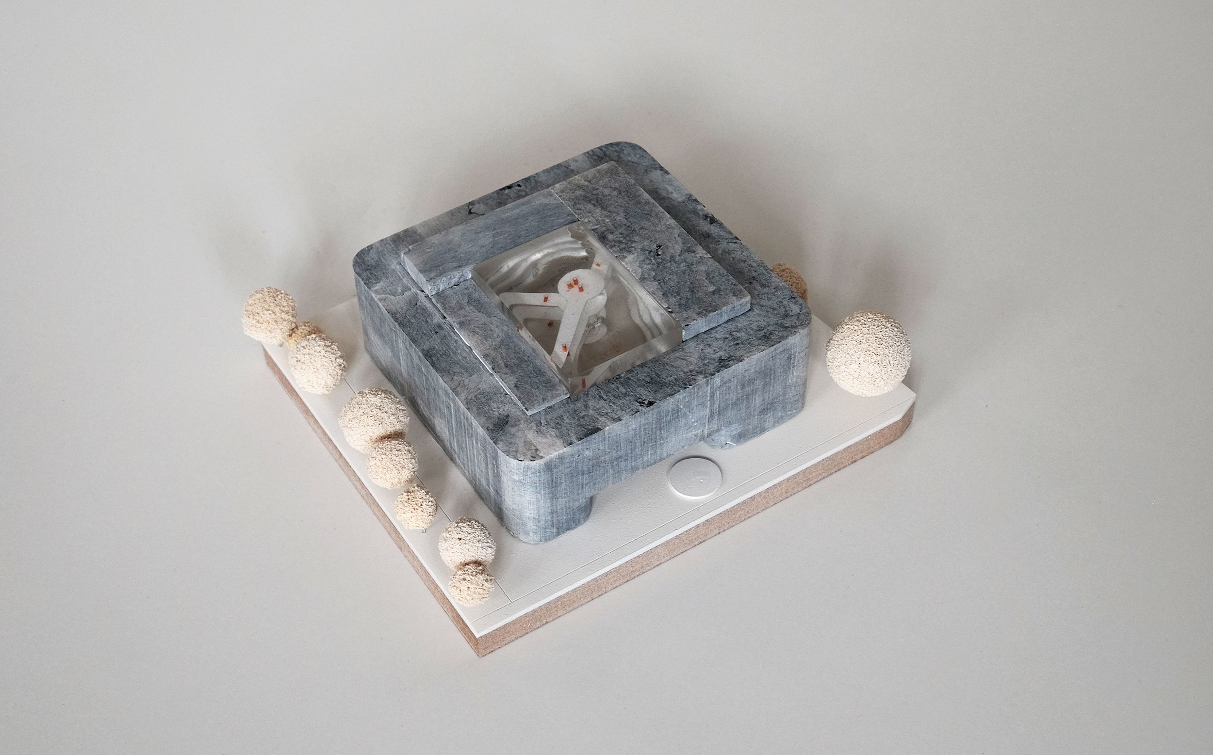 IMBIG Bonn IMBIG Bonn